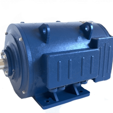 Электродвигатель ДПМ-21